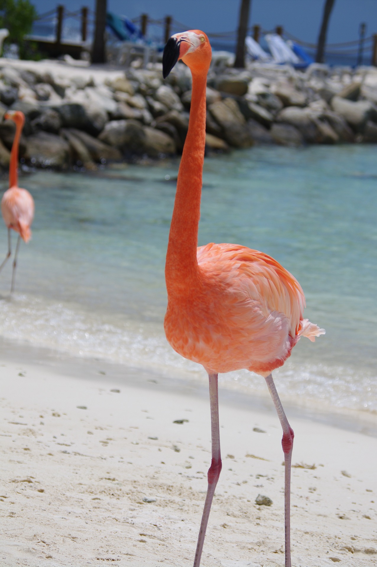 Win a luxury holiday to Aruba