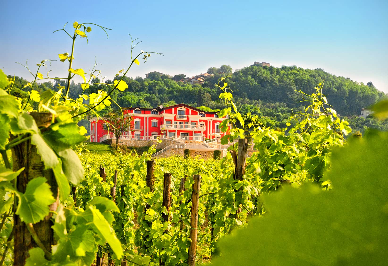 Tenuta Ippocrate – Wellness Meets Romance in the Heart of Irpinia