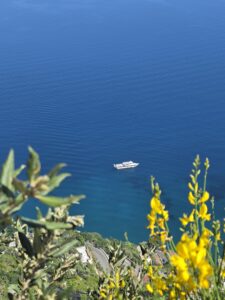 Visibility in the Destination Wedding Industry